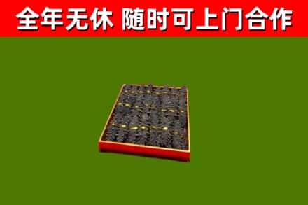 台中回收海参